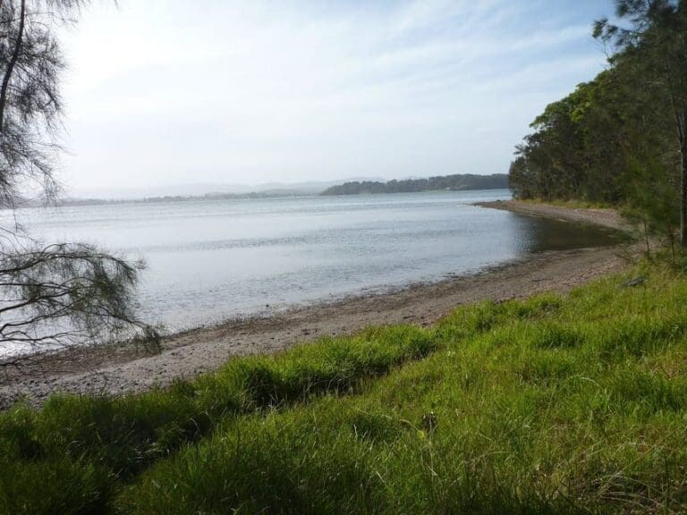 Green Point Circuit Walk (7.7km) Green point circuit walk 768x576