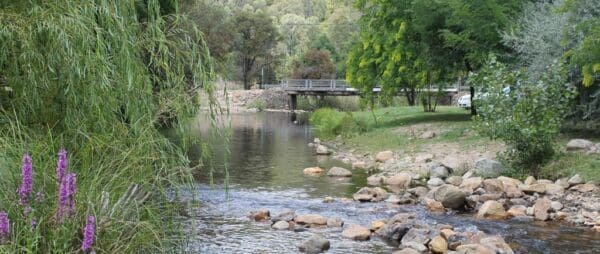 Epic and iconic hikes Australia Hume and hovell track trail hiking australia 600x254