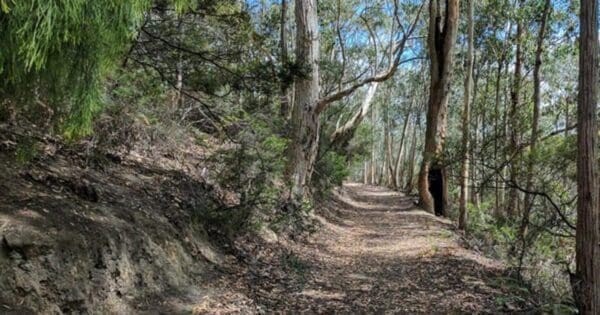 Kaoota tramway track 600x315