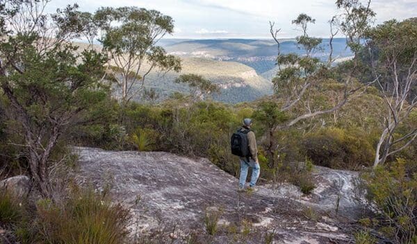 Three Views Walking Track (9.5km) Lovers walking track trail hiking australia 600x352