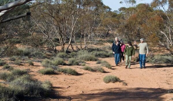 Hikes Mallee stop walking track trail hiking australia 600x352