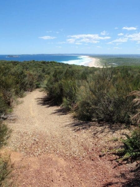 Munmorah coast track 450x600