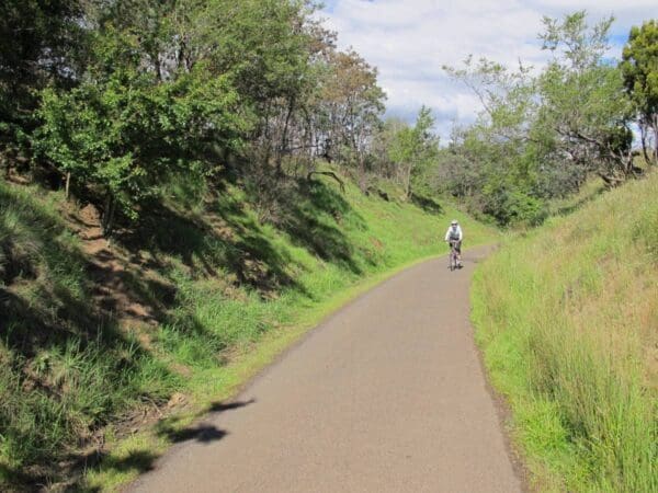 Rocherlea rail trail 1 600x450