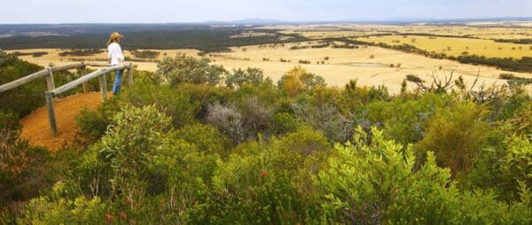 Sepulcralis hill 600x254