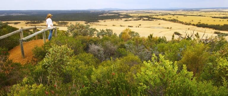 Sepulcralis hill 768x325