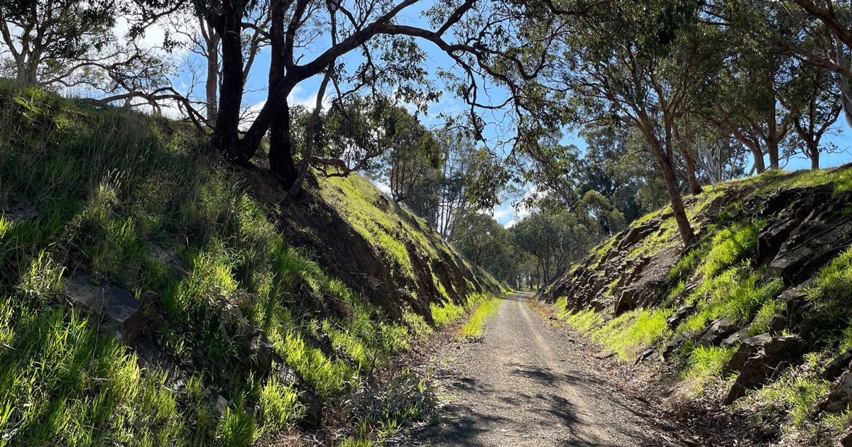 Yea to Cathkin Trail