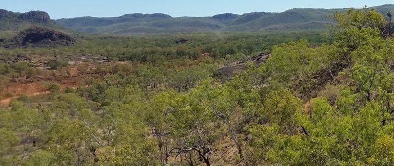 Yurmikmik Lookout Walk (5km) Yurmikmik lookout walk 768x325