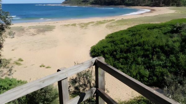 Bateau Bay Beach Loop Walk (900m) Bateau bay beach loop walk (900m)