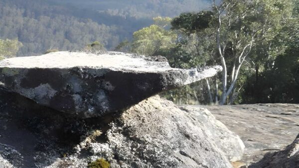 Black Mountain Walking Trail (18.5km) Black mountain walking trail (18. 5km)
