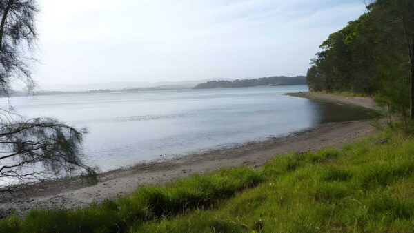 Green point circuit walk (7. 7km)