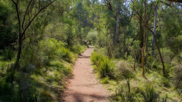 Mares Forest Creek Walking Track (3.2km) Mares forest creek walking track (3. 2km)