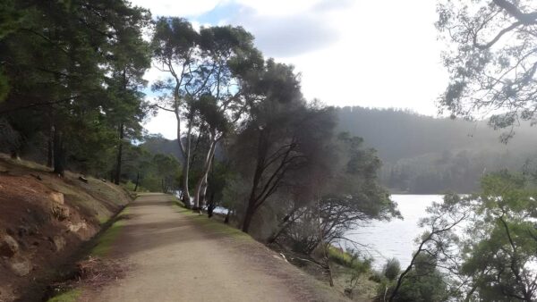 Mount direction track (7. 2km)