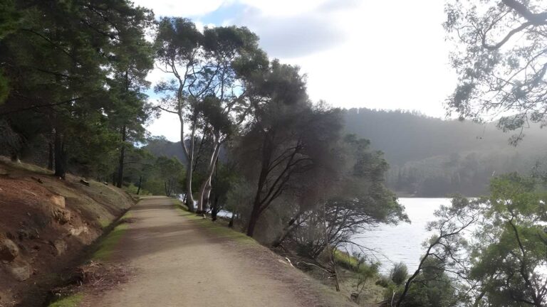 Mount direction track (7. 2km)