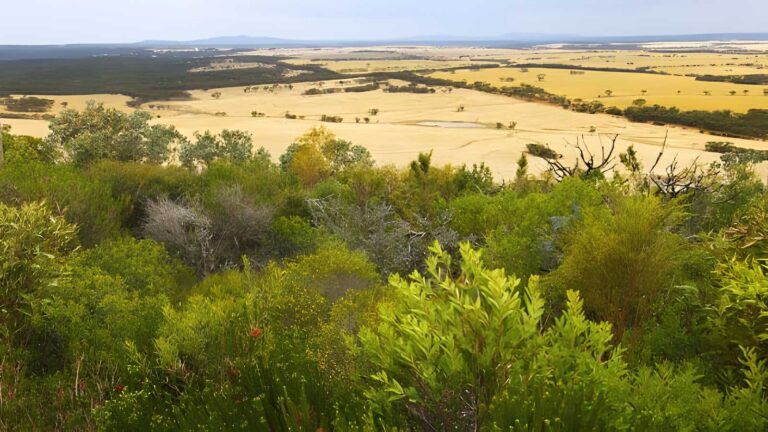 Sepulcralis hill walk (600m)