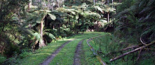 Hikes Trail hiking oshannassy aqueduct trail 34 5km 600x254