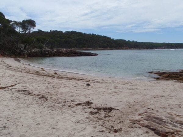 Bittangabee bay carpark to beach 600x450