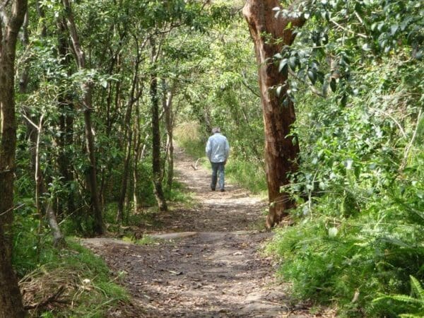 Bradleys head walk 600x450