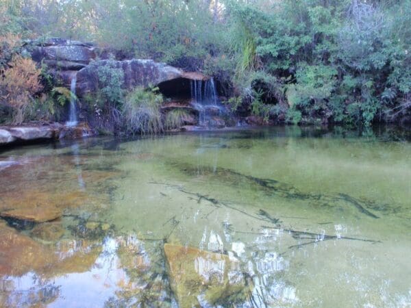 Hikes Lovetts pools 600x450