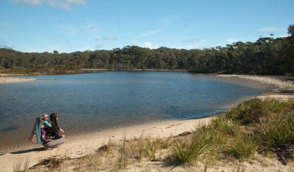 Burrawang Track - Conjola Beach to Buckleys Point Walk (2km) Nerindillah lagoon walking track trail hiking australia 600x352