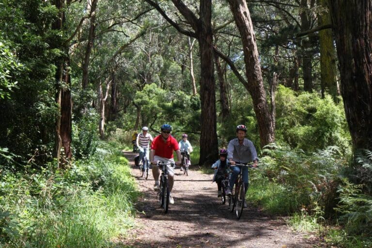 Red hill rail trail 768x511