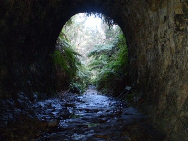 Newnes Industrial Ruins Walk (2.5km) The glow worm tunnel walk 600x450