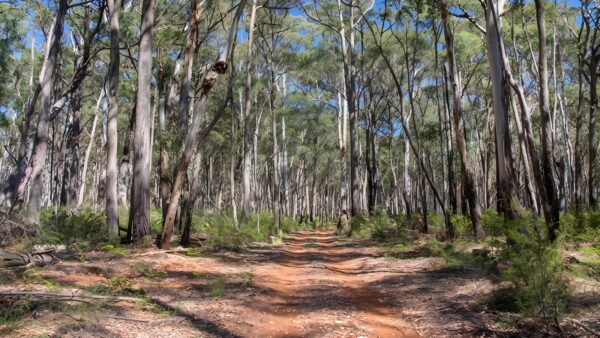 Barraba Track (8km) Barraba track (8km)