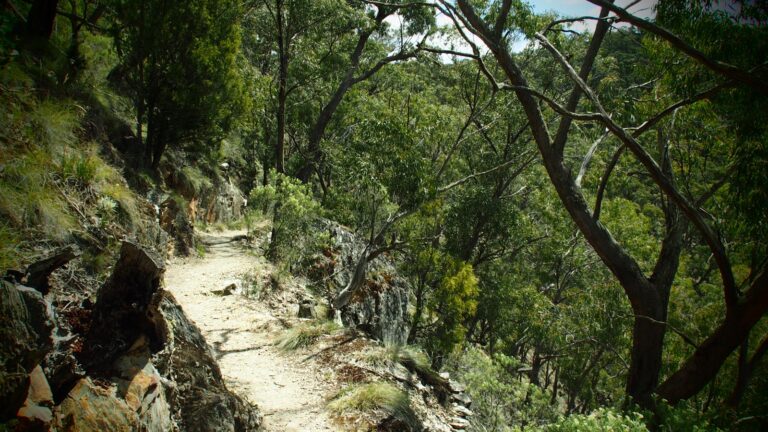 Blackwood circuit hike (22. 6km)