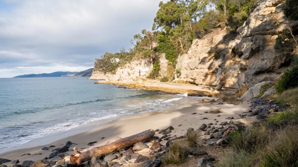 Boronia beach track (2km)
