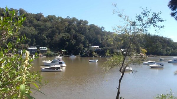 Crosslands to Berowra Waters Hike (13.7km) Crosslands to berowra waters hike (13. 7km)