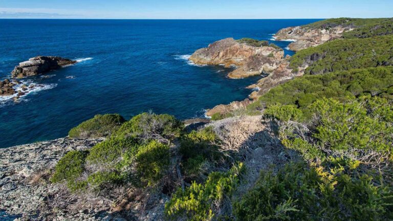 Kangarutha track to hobart beach hike (11. 5km)