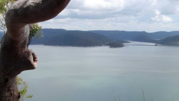 Little Wobby to Woy Woy - Rocky Ponds Hike (16.1km) Little wobby to woy woy - rocky ponds hike (16. 1km)