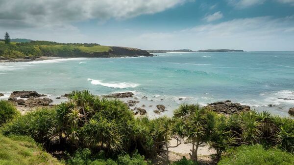 Look At Me Now Headland Walk (1.6km) Look at me now headland walk (1. 6km)