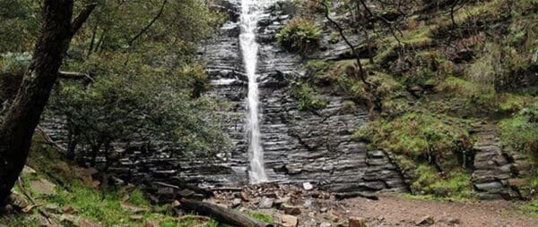 MacKenzie Falls Walk (2km) Silverband falls 600x254