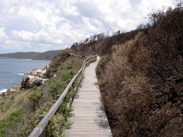 Bouddi coastal walk 600x450