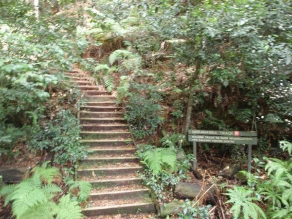 Hikes Cockle creek lookout return 600x450