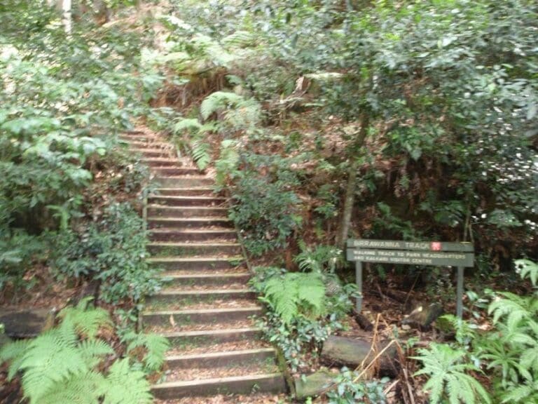 Cockle Creek Lookout Walk (1.1km) Cockle creek lookout return 768x576