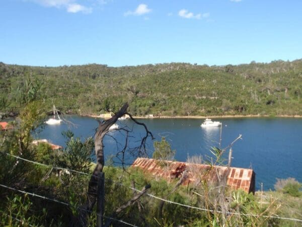 Hikes Currie rd to davidson park 600x450