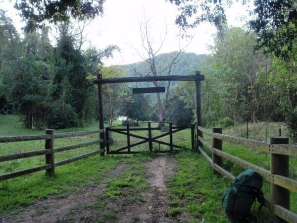 Greta road to cedar brush track head 600x450