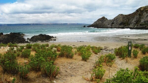 Belair Waterfall Circuit Hike (6.5km) Heysen trail south coast 600x338