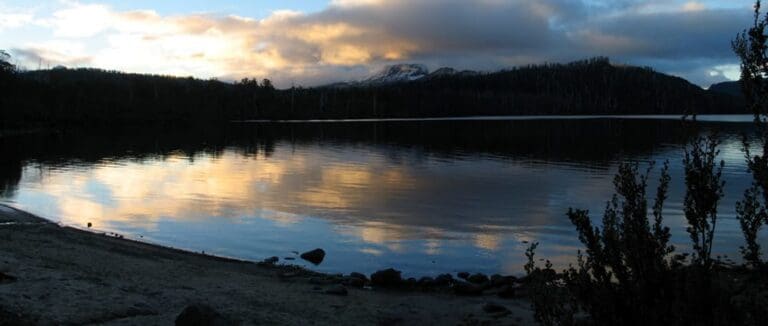 Lake st clair walk trail hiking australia 768x326