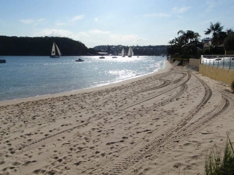 Manly to seaforth oval 768x576