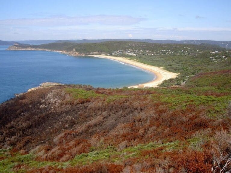Marie byles lookout to bullimah lookout 768x576