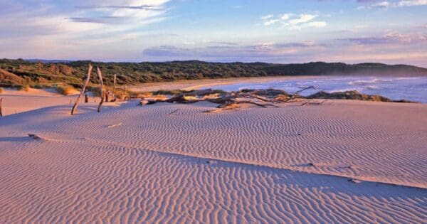 Hikes Nadgee wilderness walk trail hiking australia 600x315
