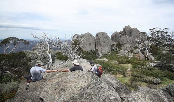 Guthega to Snowy River Suspension Bridge Hike (6.4km) Porcupine walk trail hiking australia 600x352