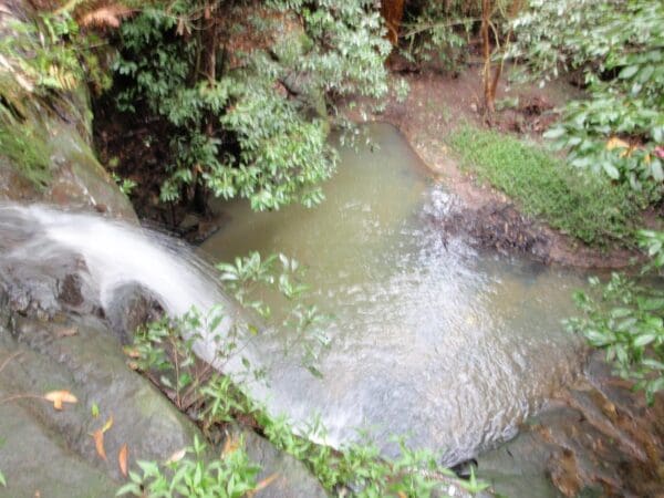 Sheldon cascades walk 600x450