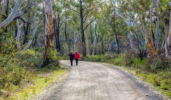 Tooths walking track to bundanoon creek trail hiking australia 600x352