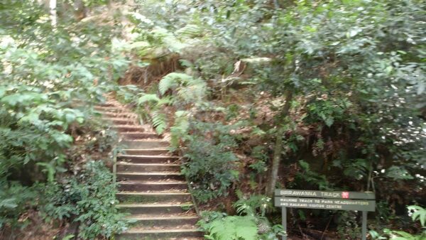 Cockle Creek Lookout Walk (1.1km) Cockle creek lookout walk (1. 1km)