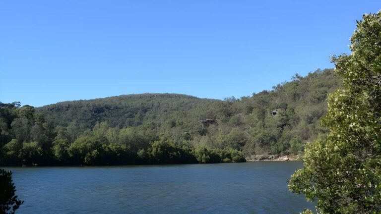 Crosslands to berowra creek lookout walk (1km)