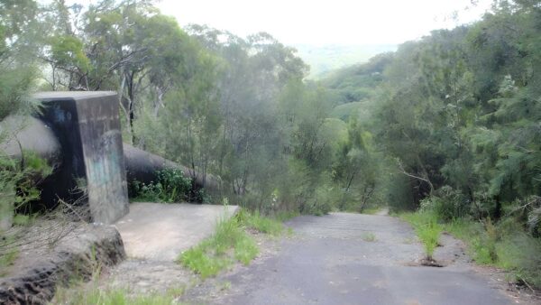 Davidson Track (2km) Davidson track (2km)