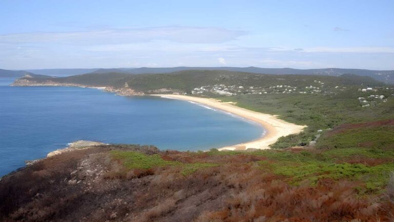 Marie Byles Lookout to Bullimah Lookout Walk (1.8km) Marie byles lookout to bullimah lookout walk (1. 8km)